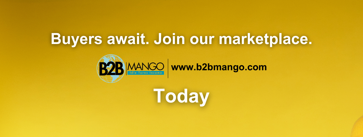 B2B Mango promo